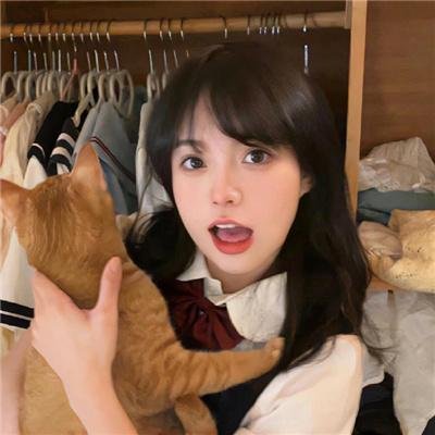 赌档家族