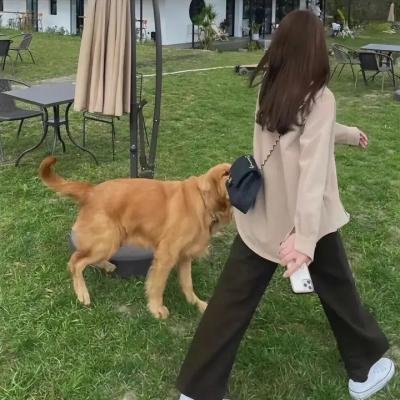 有兽焉第三季